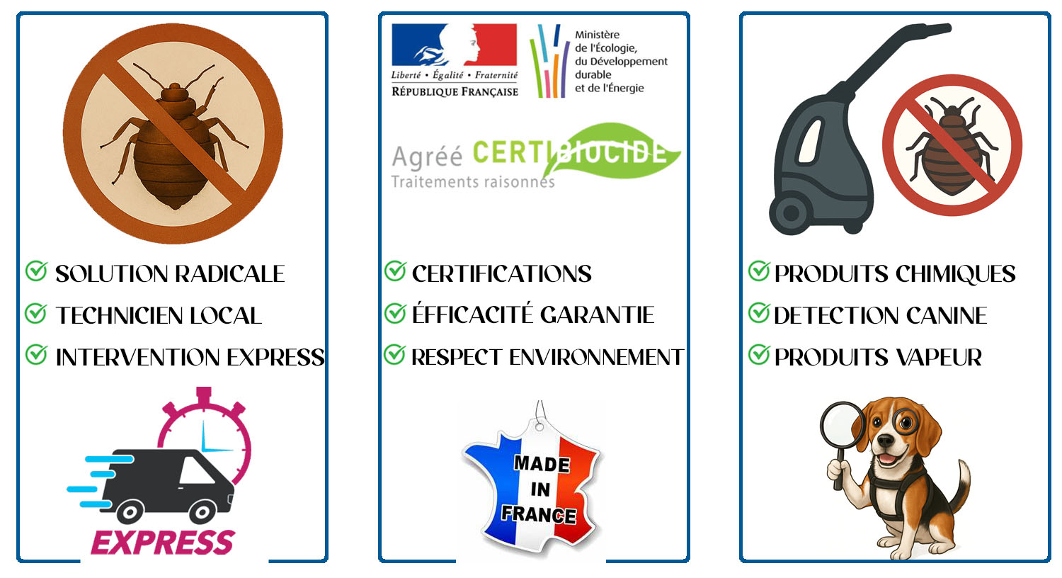 Punaises de Lit Vitry sur Seine